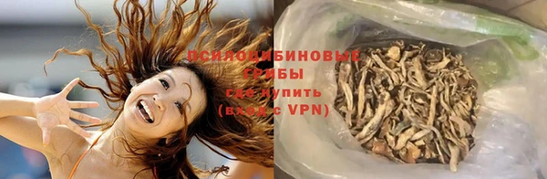 меф Алексин