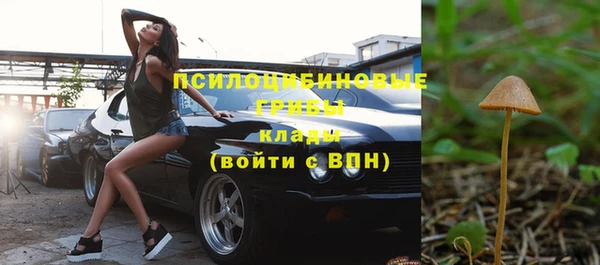 твердый Нязепетровск