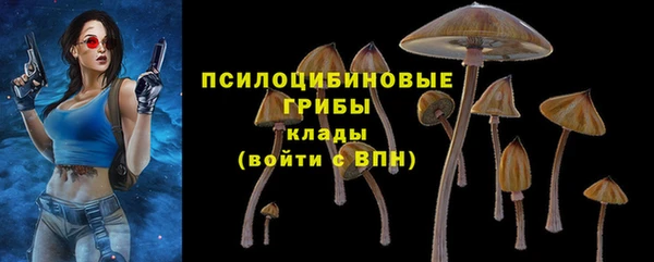 меф Алексин