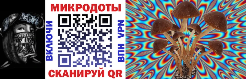 Галлюциногенные грибы Psilocybine cubensis  Артёмовский 